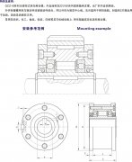 GCZ-B滾柱式單向離合器